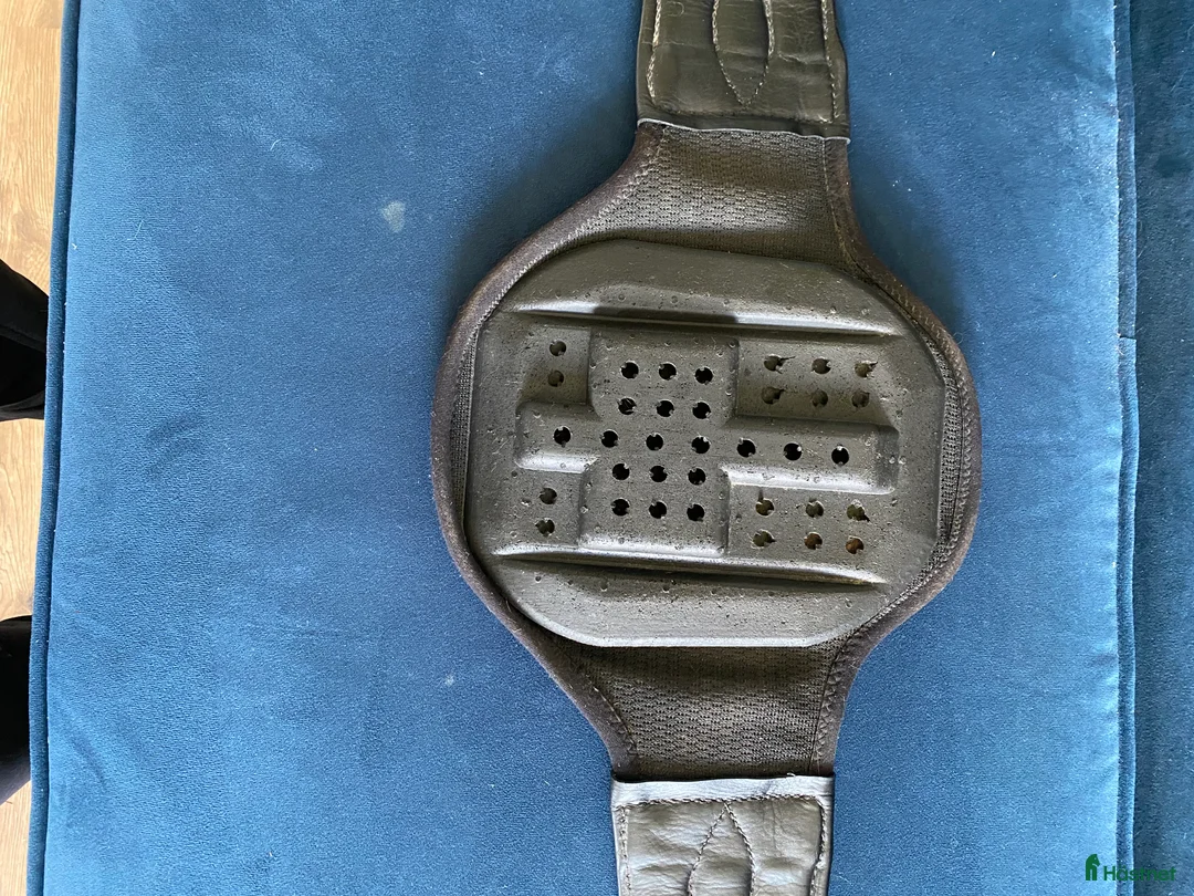 Sadeltillbehör hästutrustning till salu: Eric le Tixerant hoppgjord - Annons 2