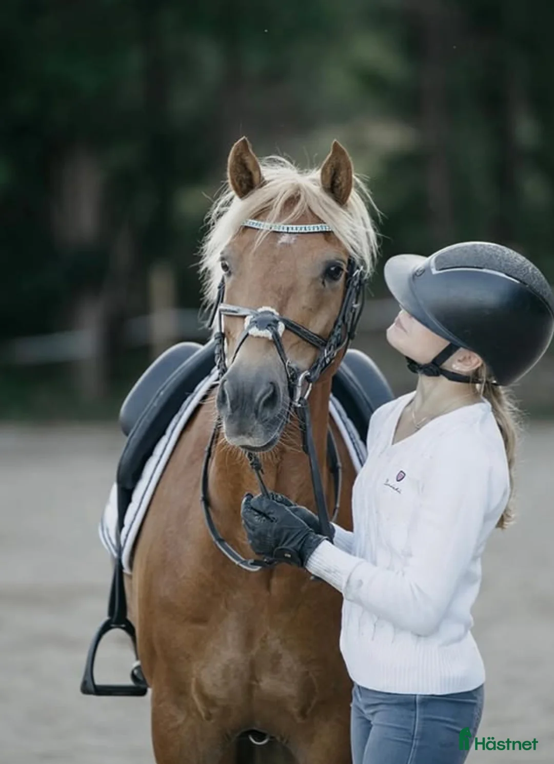 Dressyr hästar till salu: Sagoprinsessa🌸💖 - Annons 2