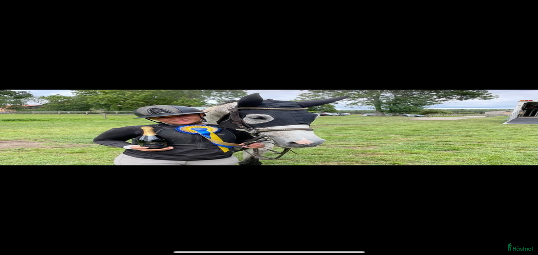 Galleribild {{count}}