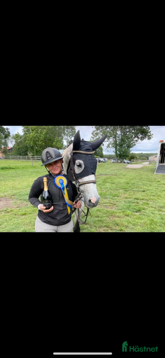 Galleribild {{count}}