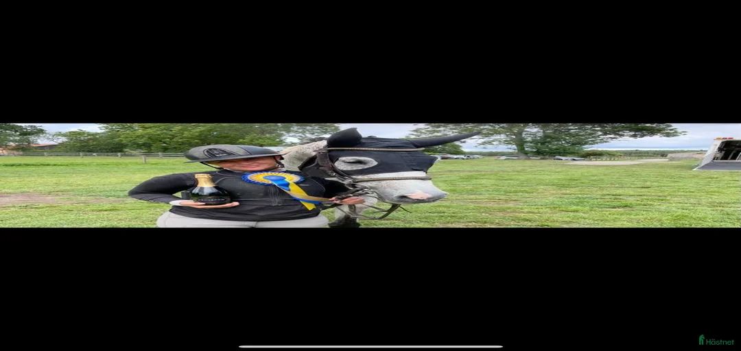 Galleribild {{count}}