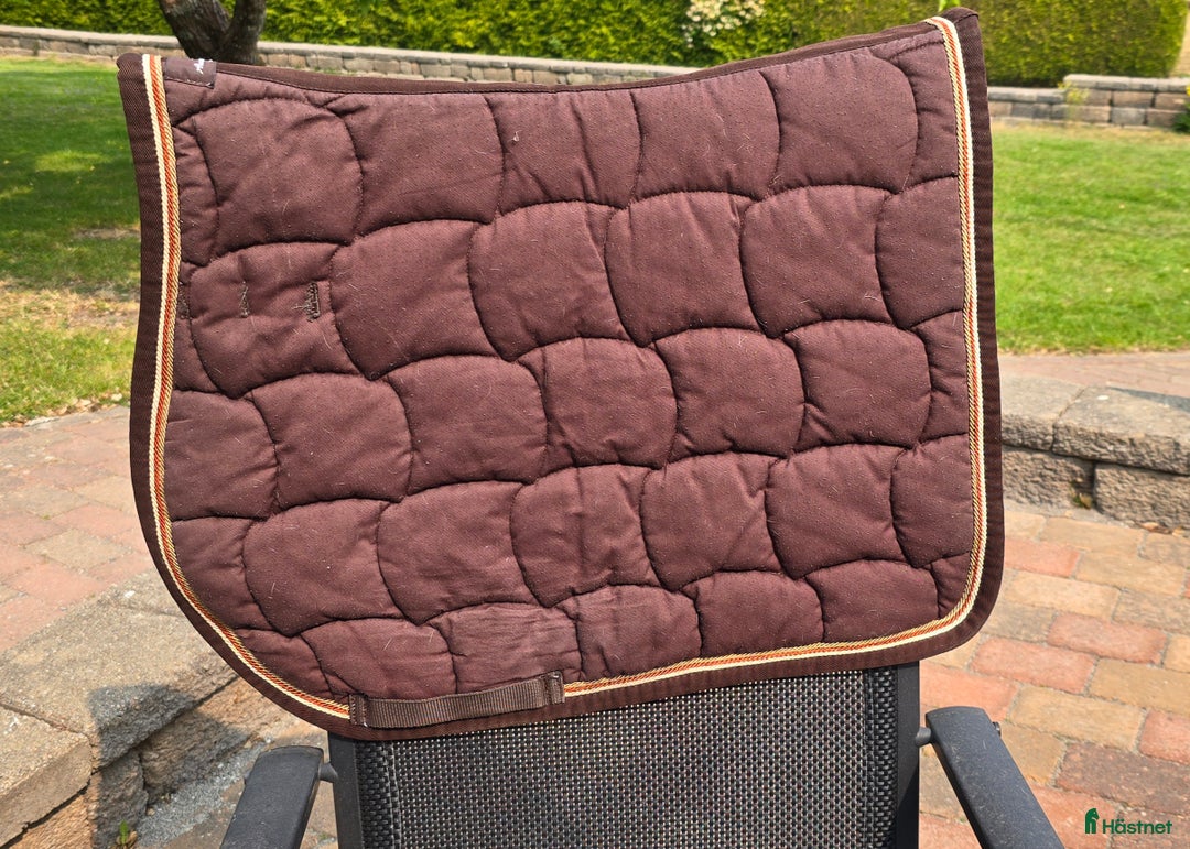 Schabrak & Vojlockar hästutrustning till salu: Fina schabrak  i Ekerö - Annons 3