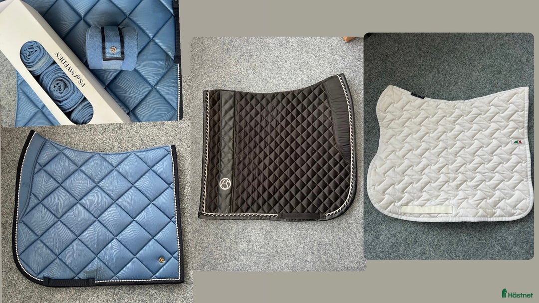 Schabrak & Vojlockar hästutrustning till salu: Ps & equiline dressyrschabrak i Bankeryd - Annons 1