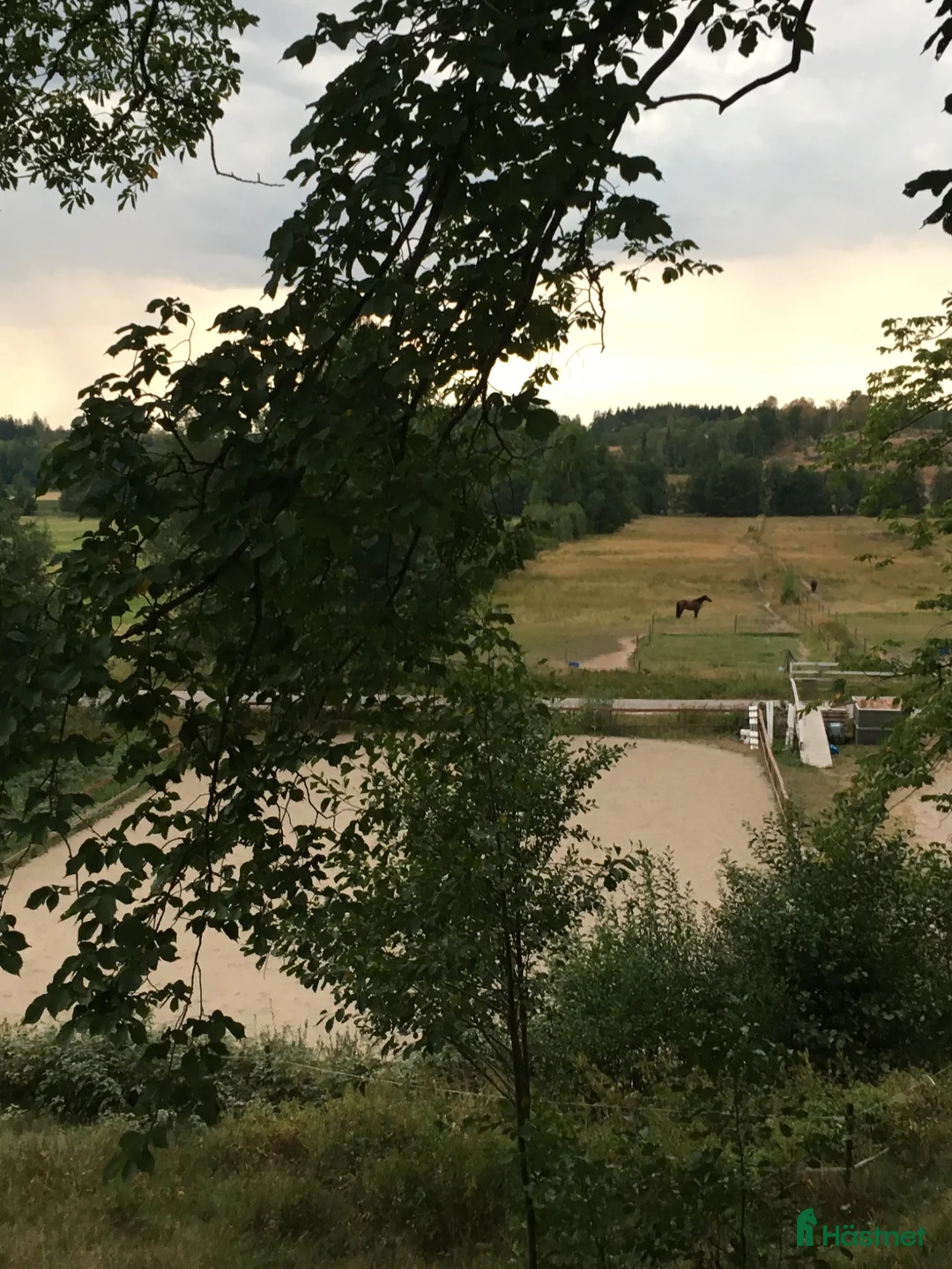  stallplats finnes: Plats i stall nära Trollhättan och Uddevalla - Annons 2