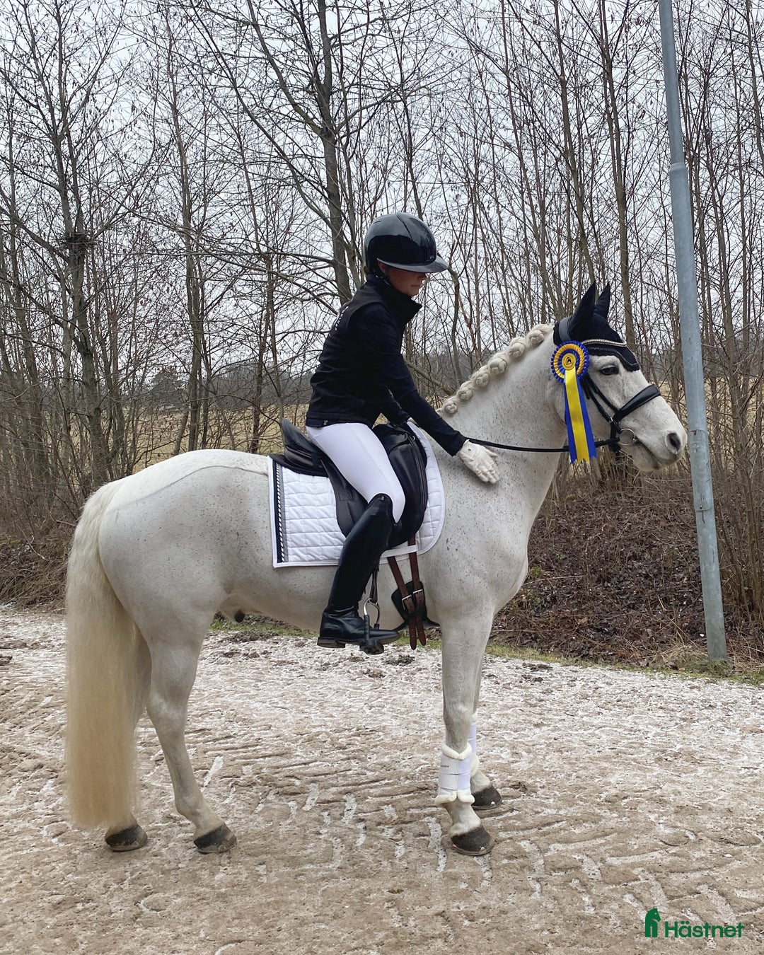  hästservice finnes: Utbildning, Försäljning, Tävling i Sparsör - Annons 3