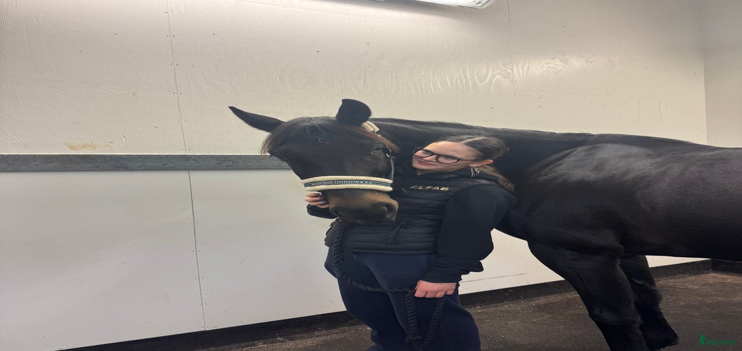 Galleribild {{count}}