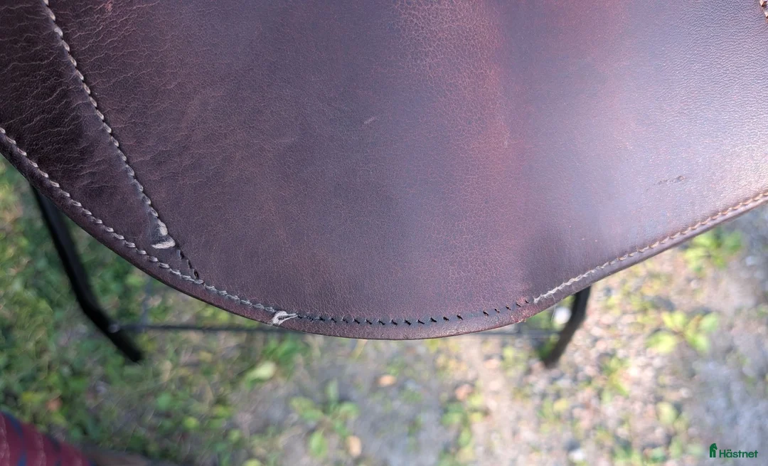 Sadlar hästutrustning till salu: Lippo Fazzino 17" - Annons 8