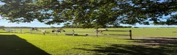  stallplats finnes: 1 Stallplats ledig  - Annons 4