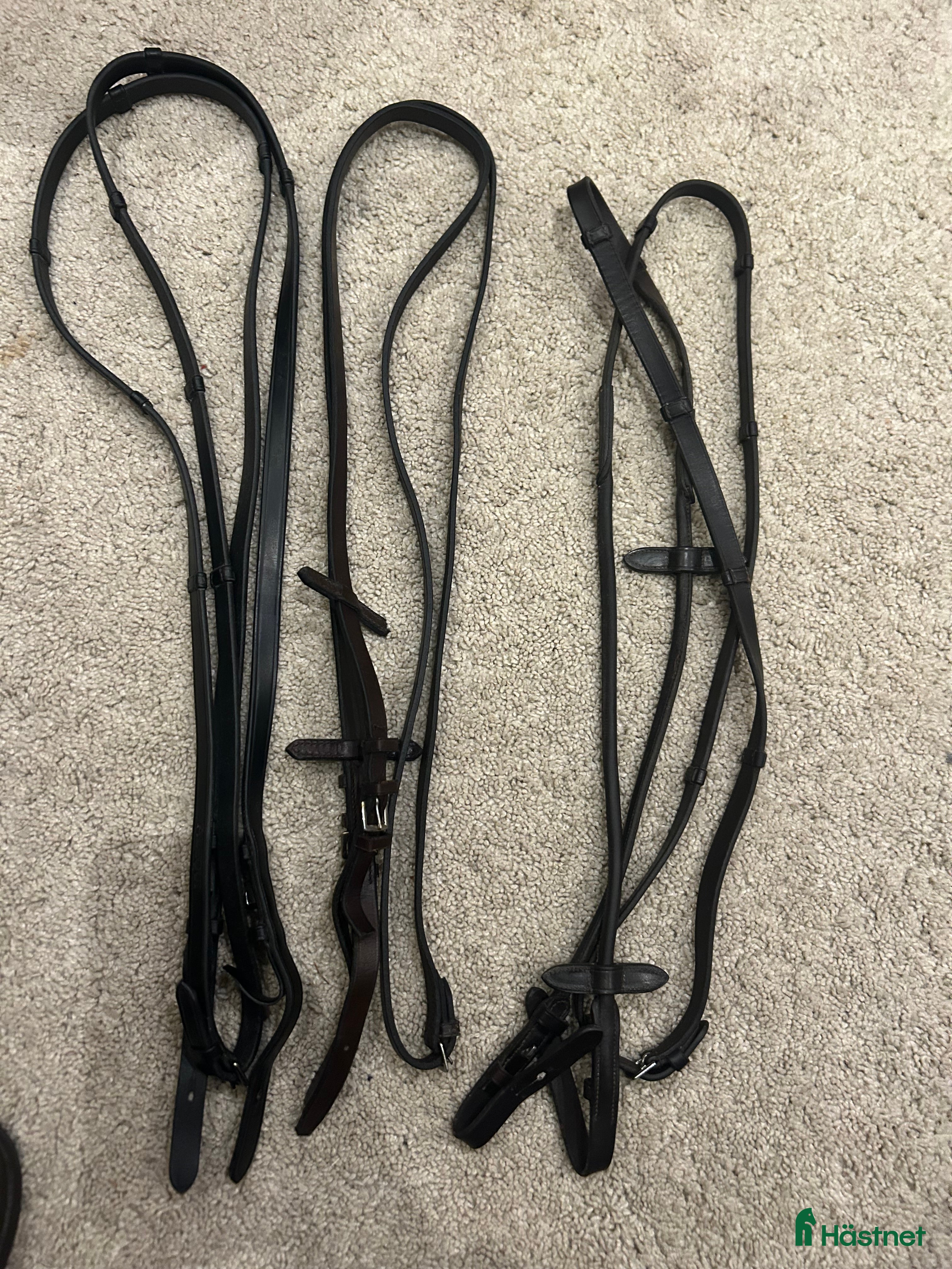 Träns hästutrustning Lädertyglar svarta och mörkbruna i Enhörna - Annons 21