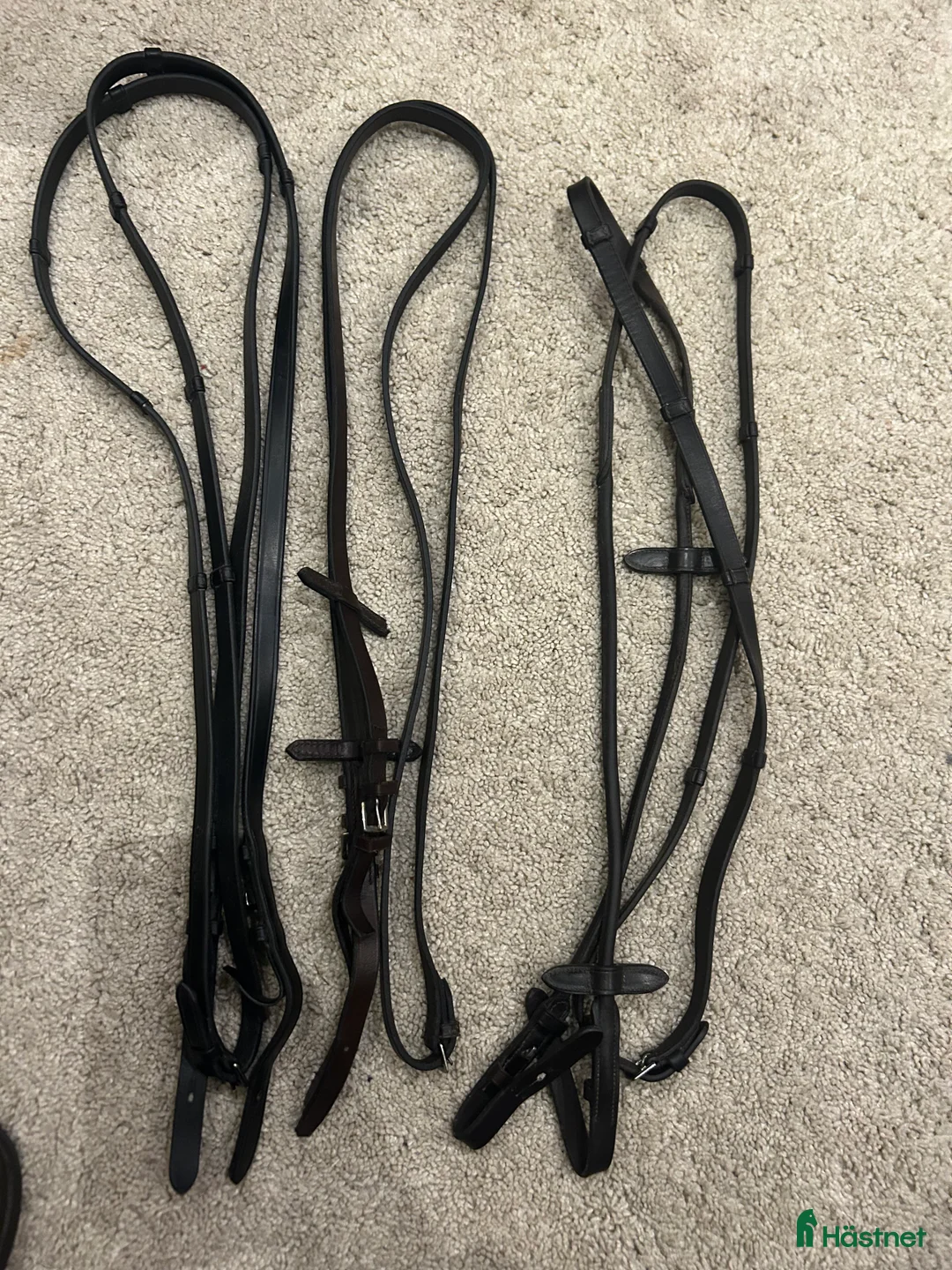 Träns hästutrustning till salu: Lädertyglar svarta och mörkbruna i Enhörna - Annons 1