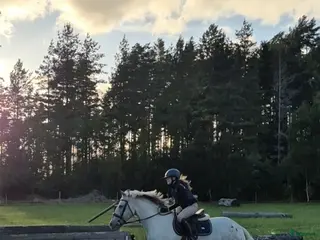 hästar Maxad C eller D-ponny till förevigt hem. - Annons 9