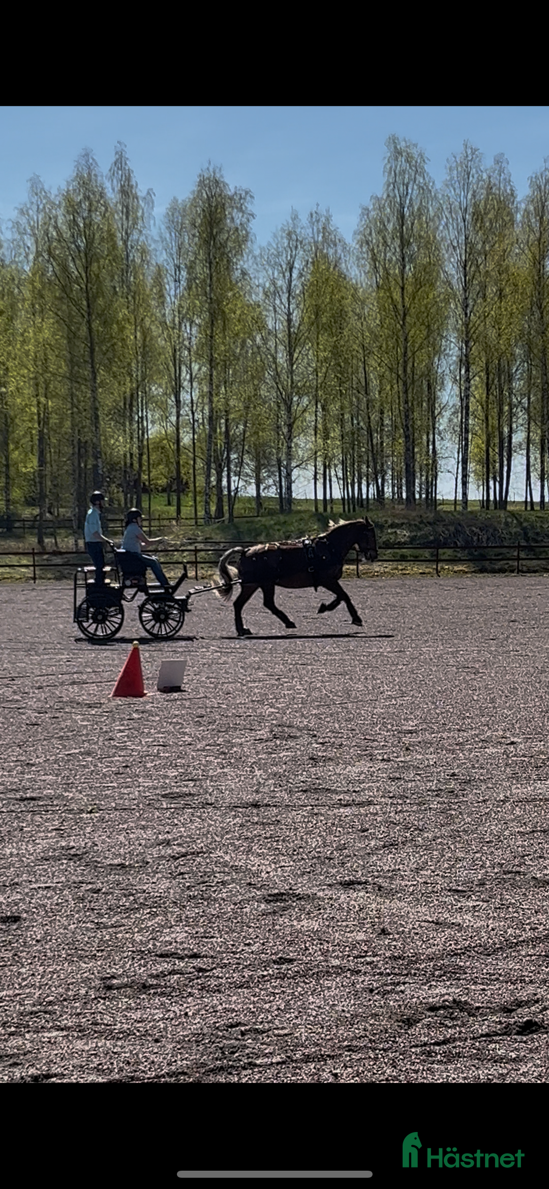 Körvagnar körning till salu: Maratonvagn storhäst i Västra Ämtervik - Annons 20