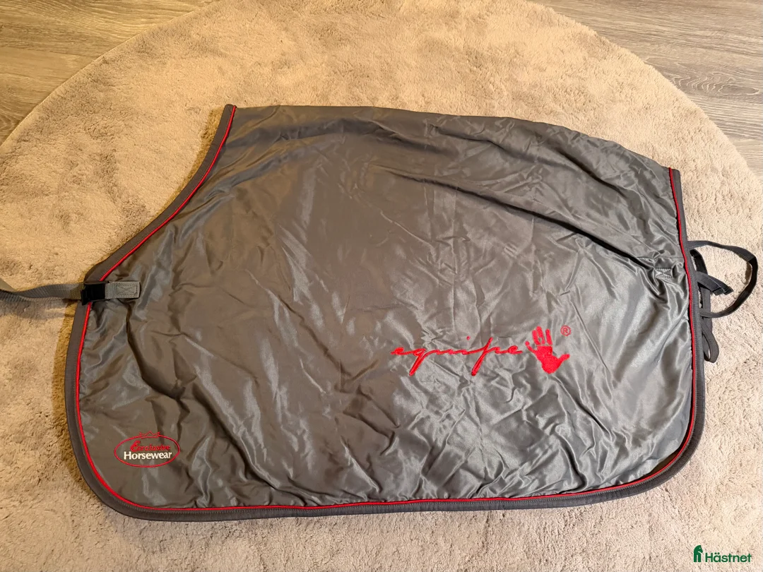 Schabrak & Vojlockar hästutrustning till salu: Utrustning  - Annons 1