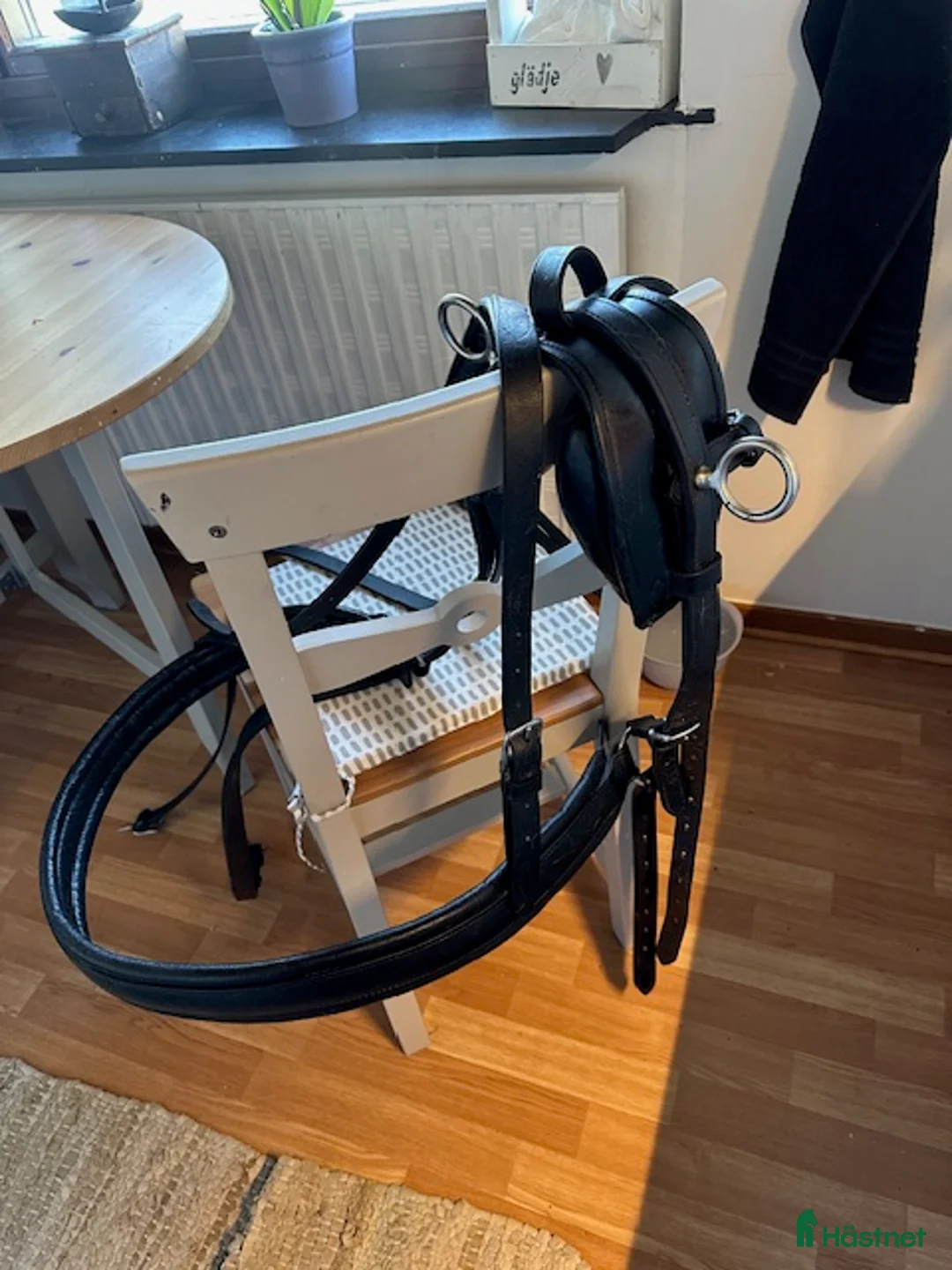 Övrig utrustning övrig utrustning till salu: Bröstsele med Tömmar till Ponny, tex Russ - Annons 1