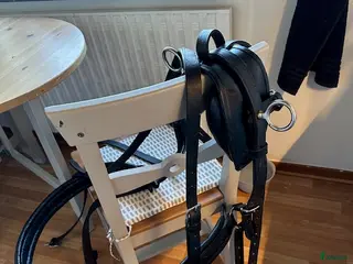 Övrig utrustning övrig utrustning till salu: Bröstsele med Tömmar till Ponny, tex Russ - Annons 12