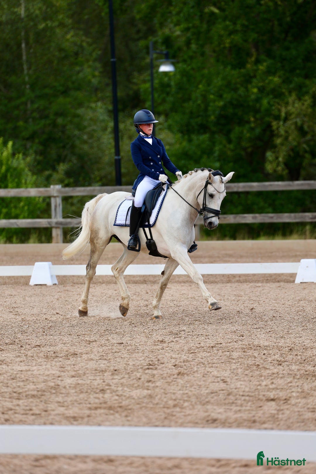 Dressyr hästar till salu: Läromästare och bästa vän! i Linköping - Annons 1