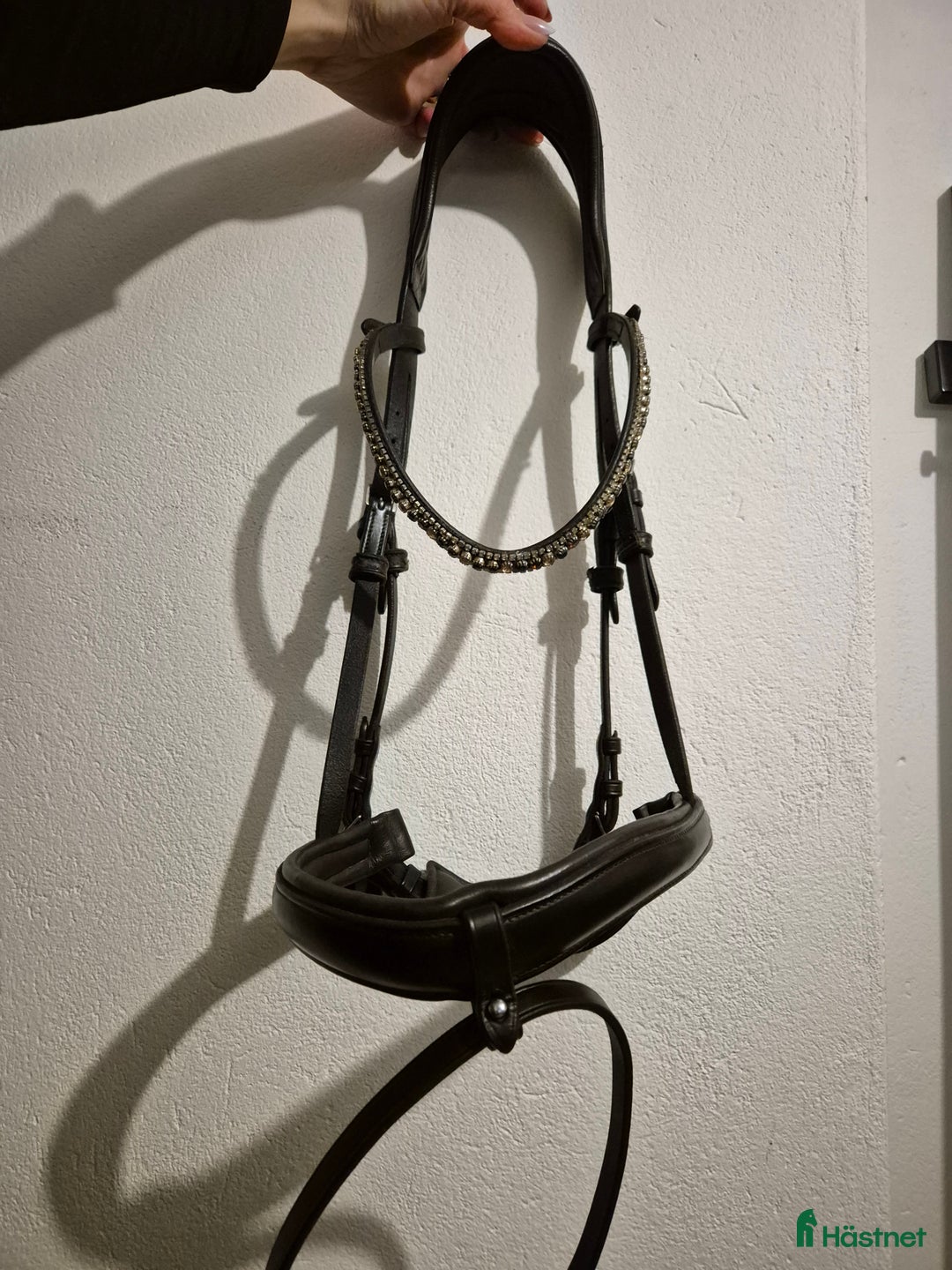 Träns hästutrustning till salu: Flying change Full brunt i Mjölby - Annons 1