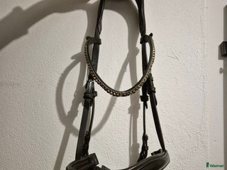 Träns hästutrustning till salu: Flying change Full brunt i Mjölby - Annons 3