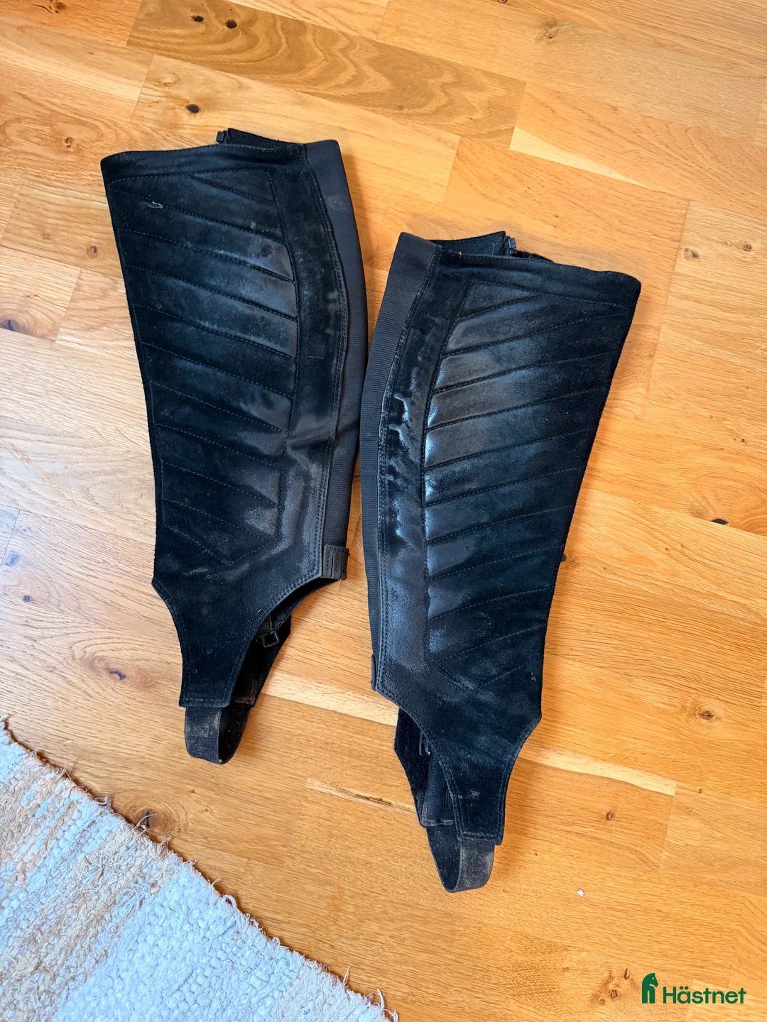 Ridstövlar ryttarutrustning till salu: Ariat shortchaps i Malmö - Annons 3