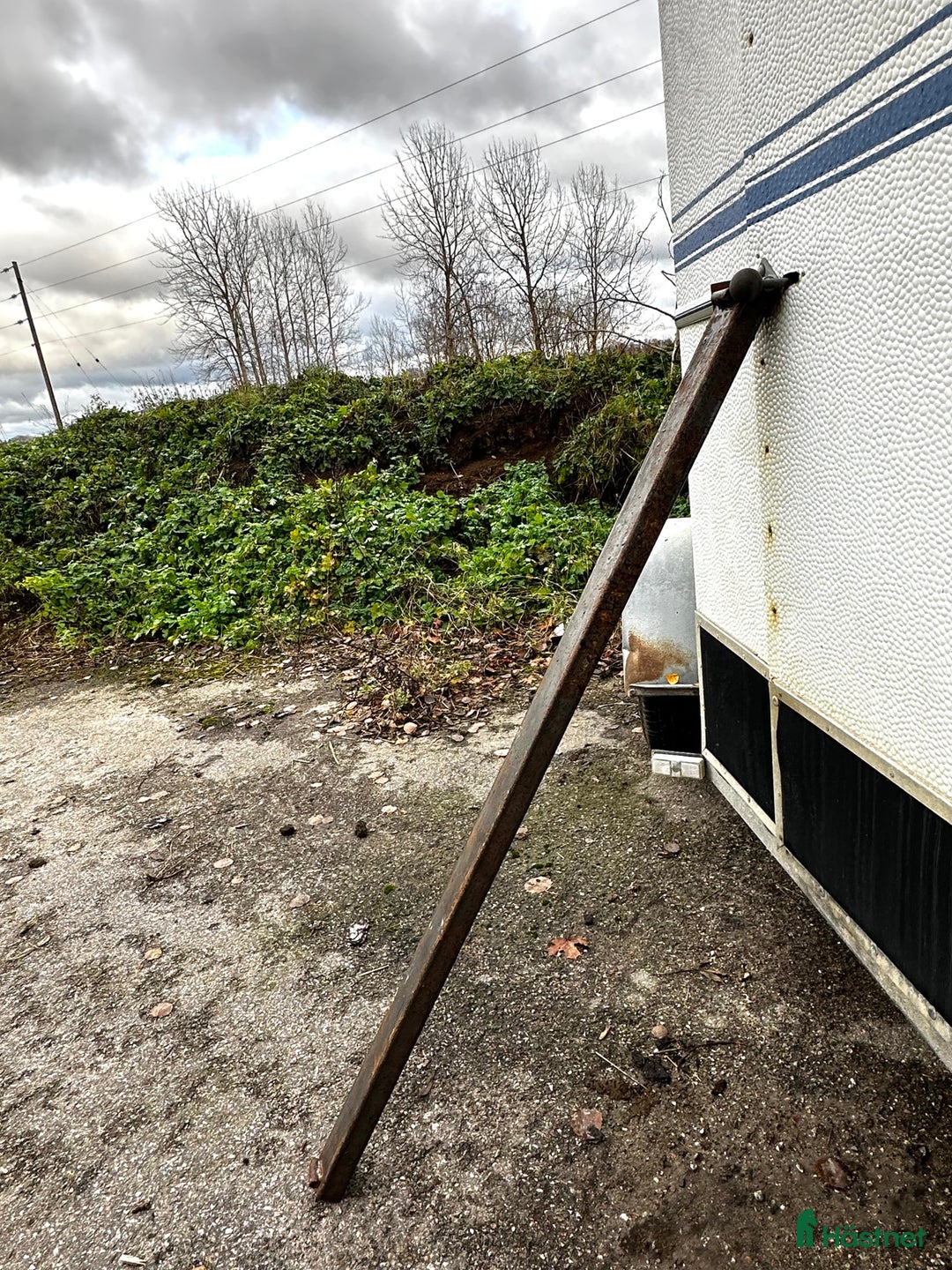 Hästtransporter  fordon & transport till salu: Låg totalvikt med hög lastvikt  i Täby - Annons 6