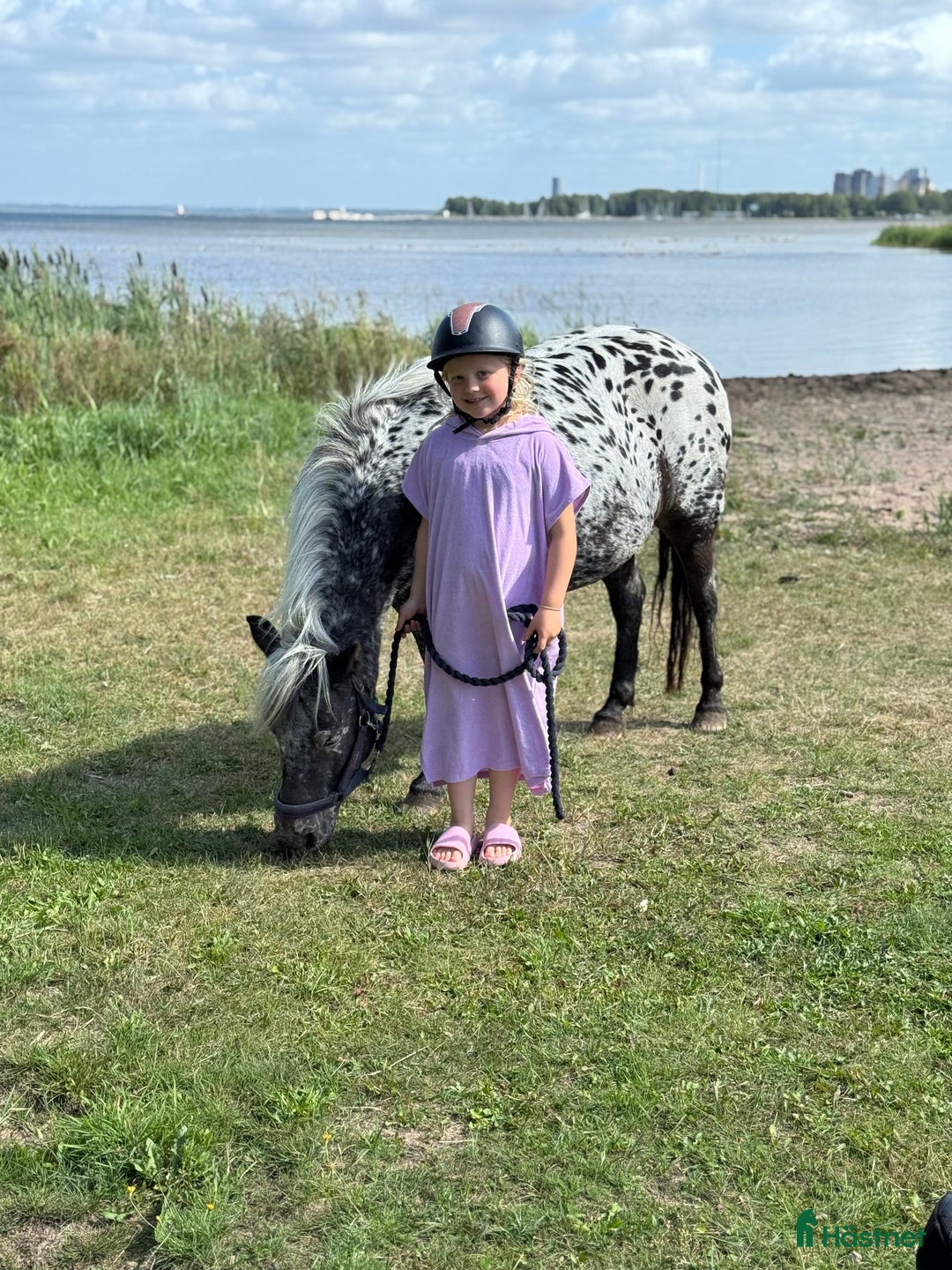  hästservice finnes: Julklappstips! Ridläger sommaren 2026 i Lidköping - Annons 31