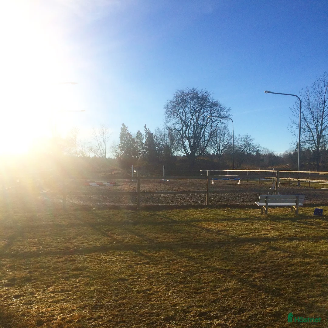  stallplats finnes: 1 box plats ledig  - Annons 2