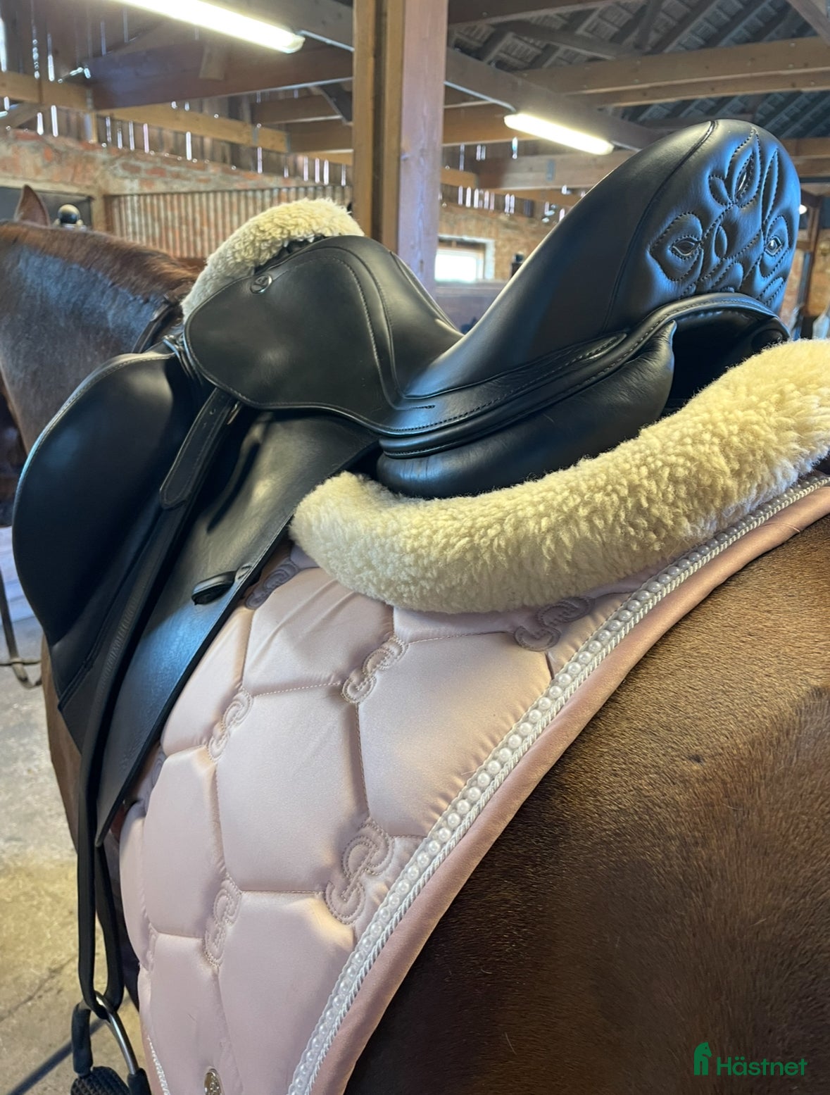 Sadlar hästutrustning till salu: Prestige dressyr i Kumla - Annons 2