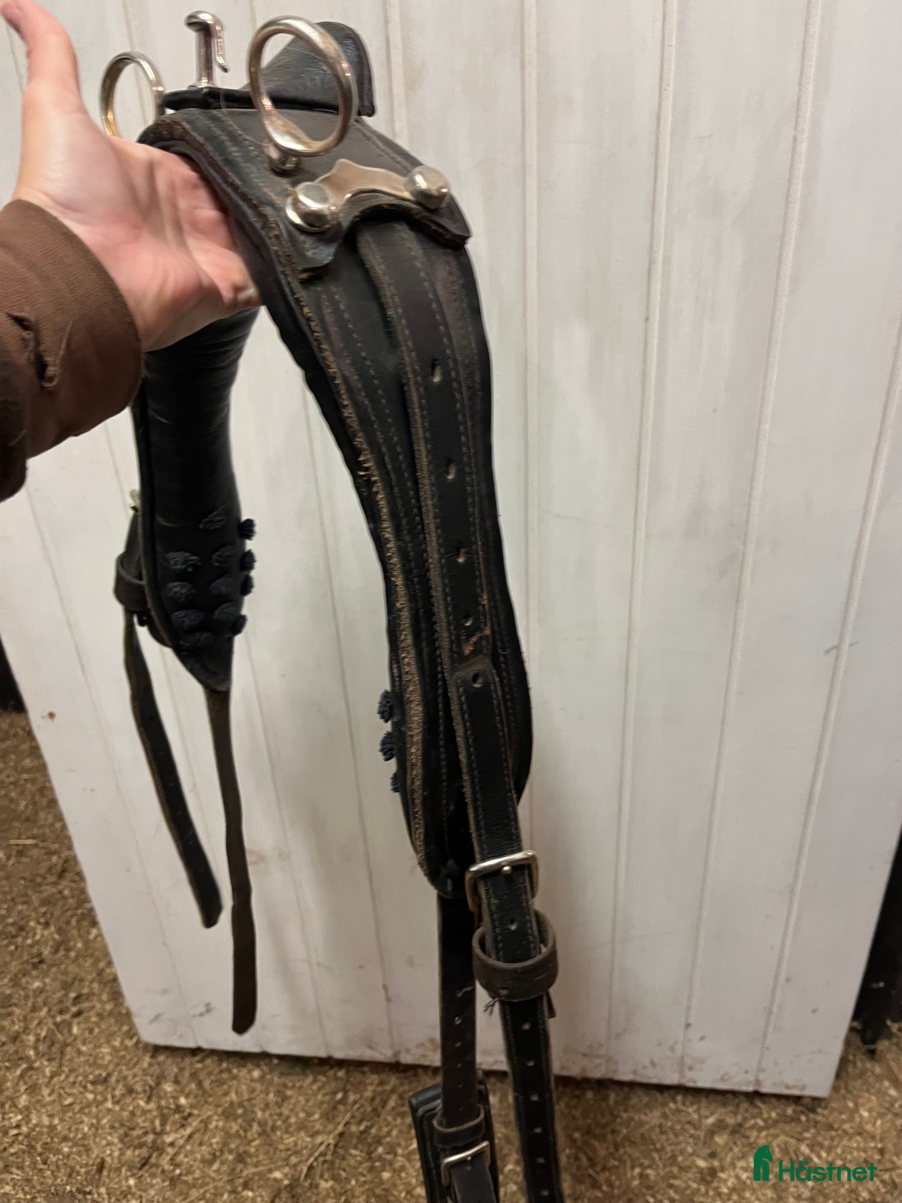 Körselar körning till salu: Bröstsele i Luleå - Annons 19