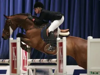 medryttarhäst sökes: Medryttarhäst SÖKES - Annons 2