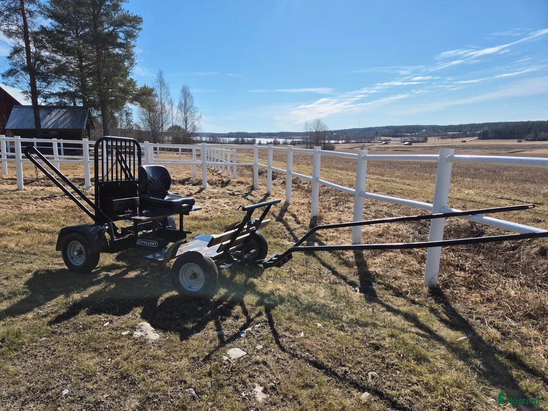 Travvagnar trav till salu: Pullert  - Annons 6