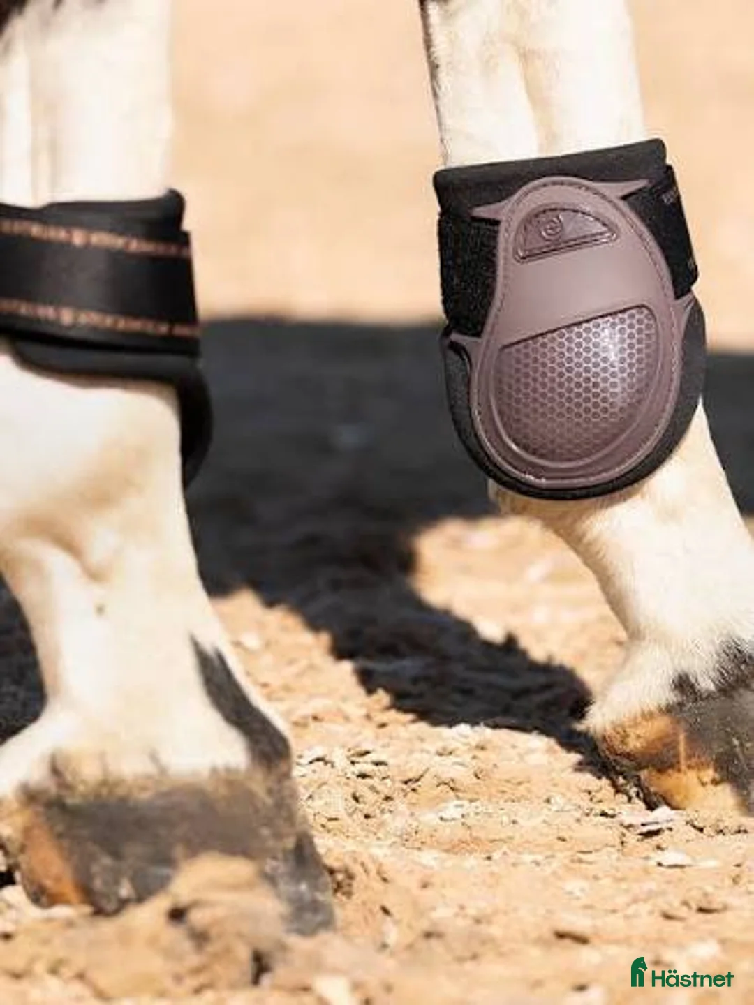 Benskydd hästutrustning till salu: Stockholm equestrian benskydd bruna i Månkarbo - Annons 6