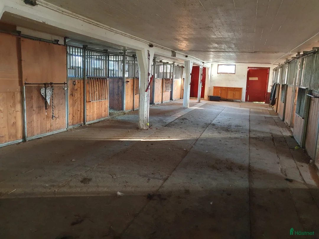  stallplats finnes: Stallplats  i Karlshamn - Annons 3