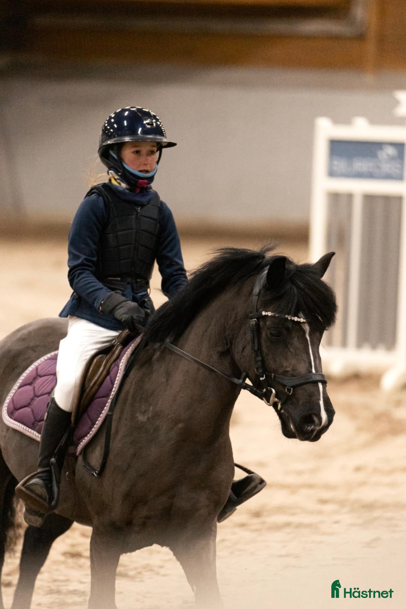  hästar Superfint sto i Horred - Annons 14