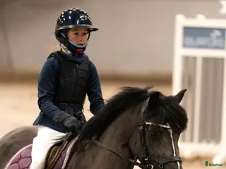 hästar Superfint sto i Horred - Annons 14