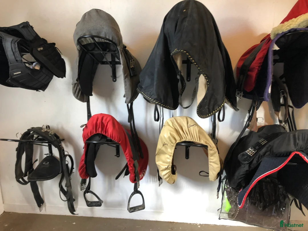  stallplats finnes: 1 box plats ledig  - Annons 4