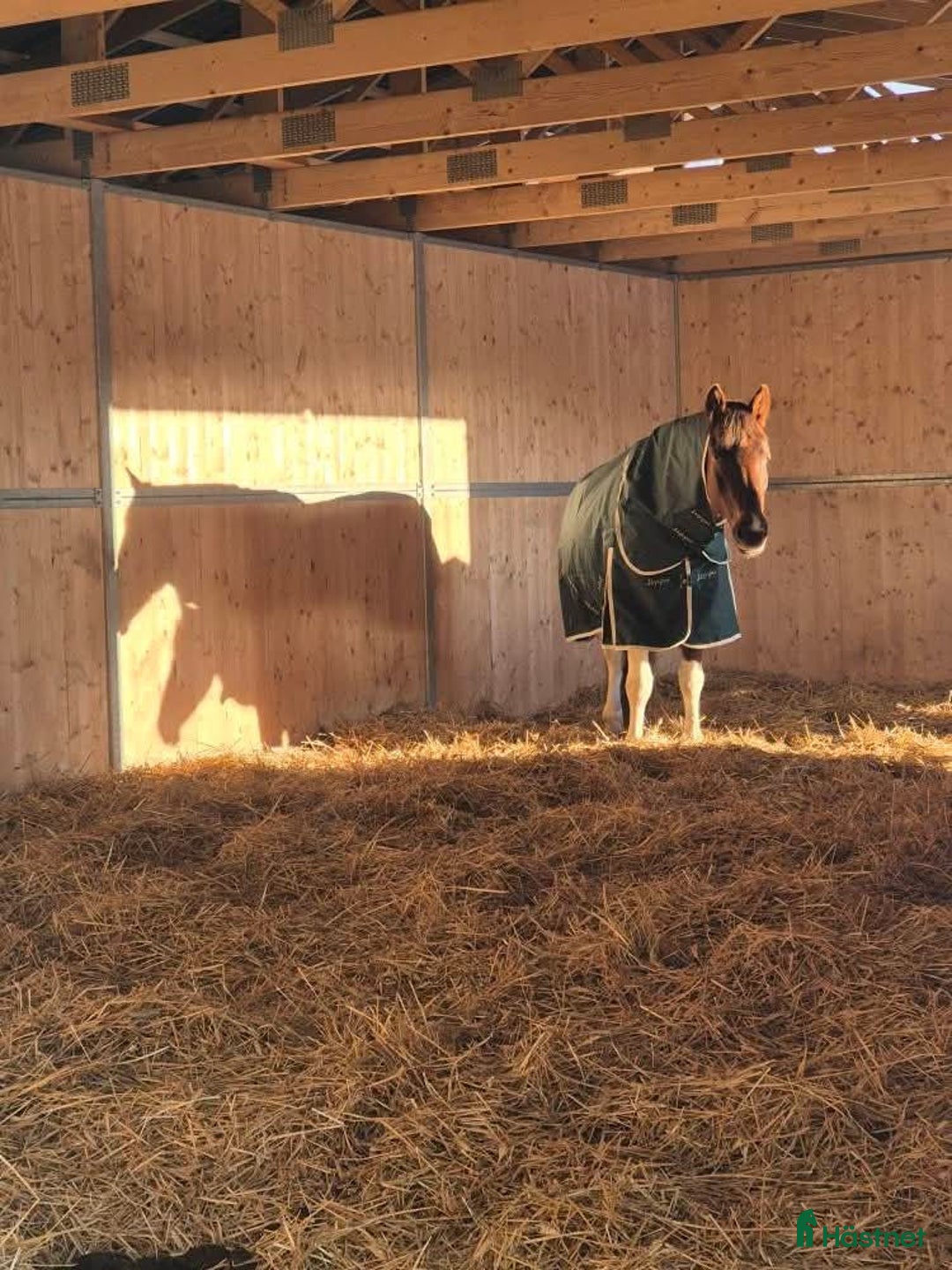  stallplats finnes: Active stable Haninge södra Stockholm  i Österhaninge - Annons 9