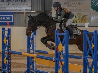 Hoppning hästar till salu: Härlig häst med mycket energi i Helsingborg - Annons 1