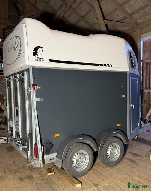 Hästtransporter  fordon & transport till salu: Cheval Liberté Gold - Annons 6