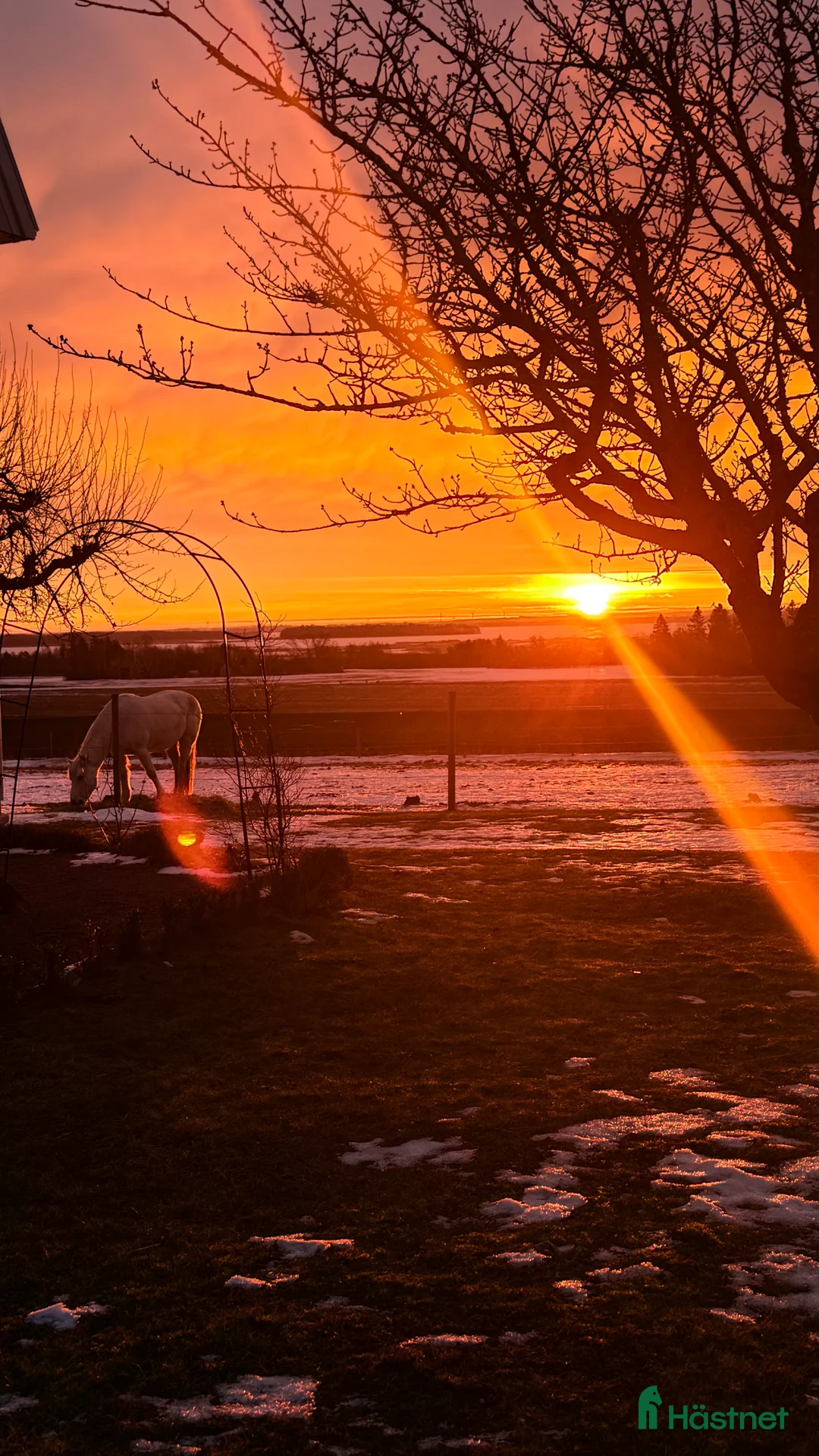 Galleribild {{count}}