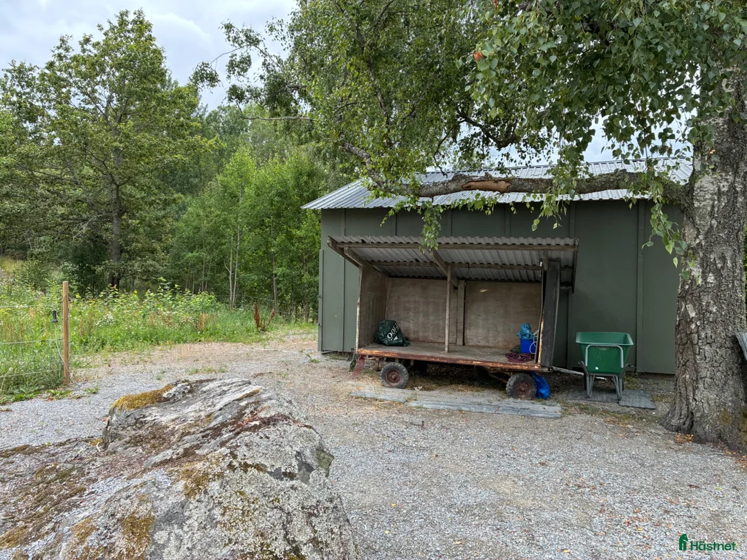  stallplats finnes: Lösdrift för ponny utanför Märsta  i Märsta - Annons 2
