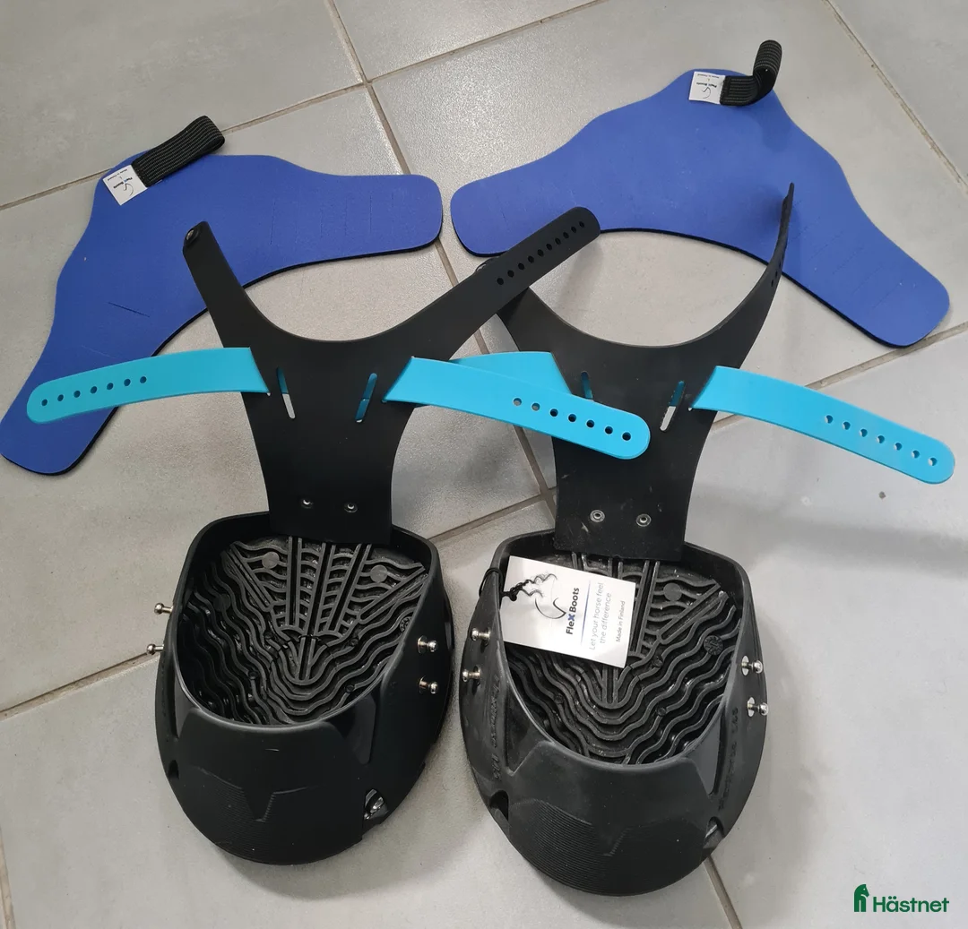 Övrig Hästutrustning hästutrustning till salu: Flexboots i nyskick säljes i Domsjö - Annons 1