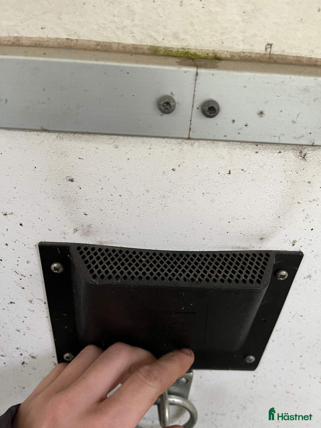 Hästtransporter  fordon & transport till salu: Atec Starline i Höör - Annons 11