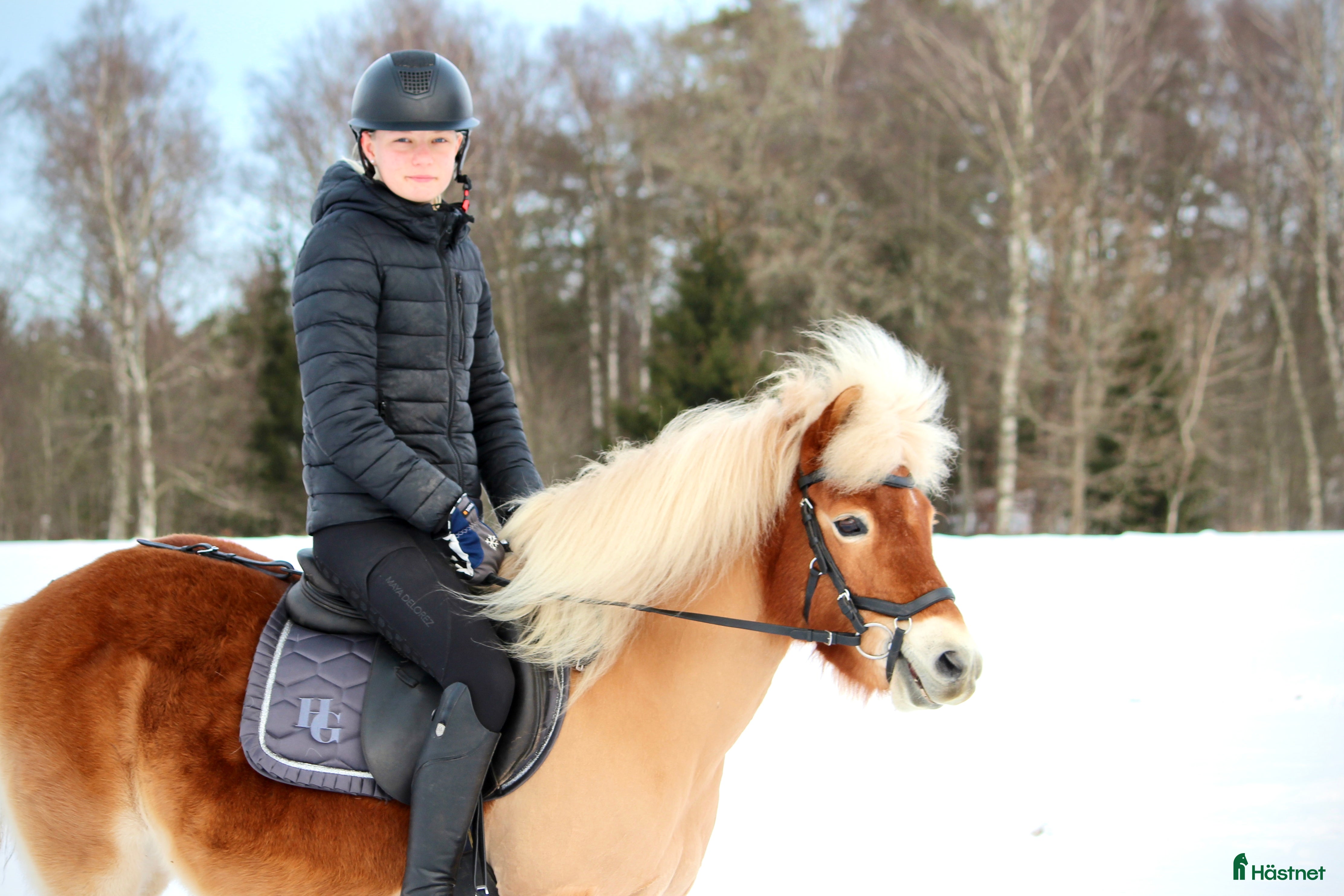  hästar Allgunnens Grace i Markaryd - Annons 12