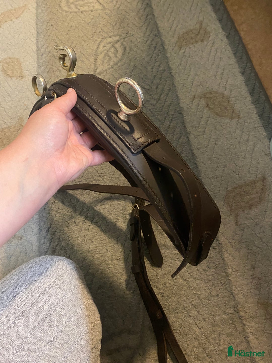 Travselar trav till salu: Däckel  i Ärla - Annons 5