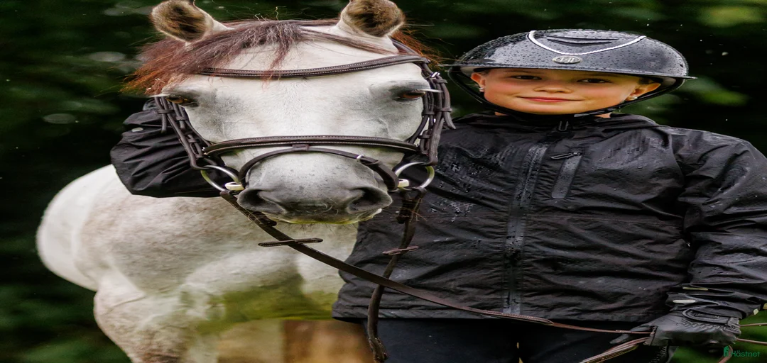 Galleribild {{count}}