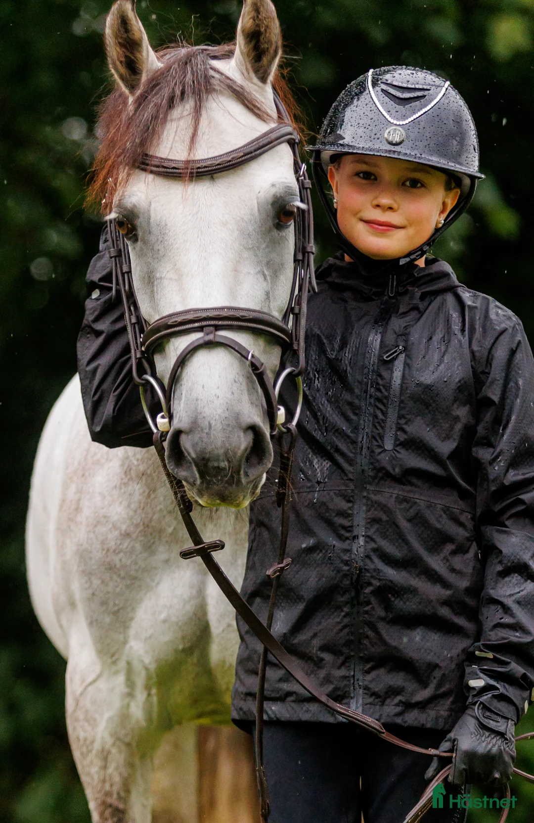 Galleribild {{count}}