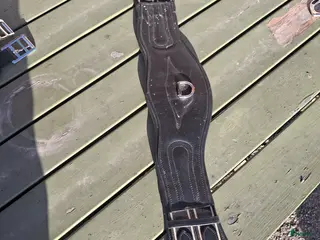 Sadeltillbehör hästutrustning Dressyrgjord - Annons 9