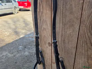 Övrig Hästutrustning hästutrustning Stallrensning - Annons 5