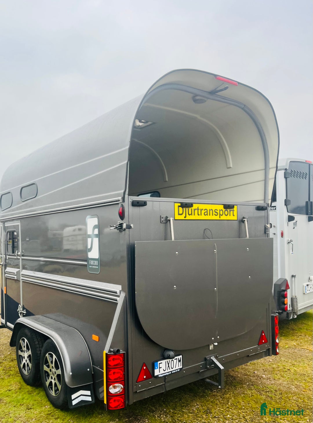 Hästtransporter  fordon & transport till salu: Forzab Classic 226SEH i Klippan - Annons 6