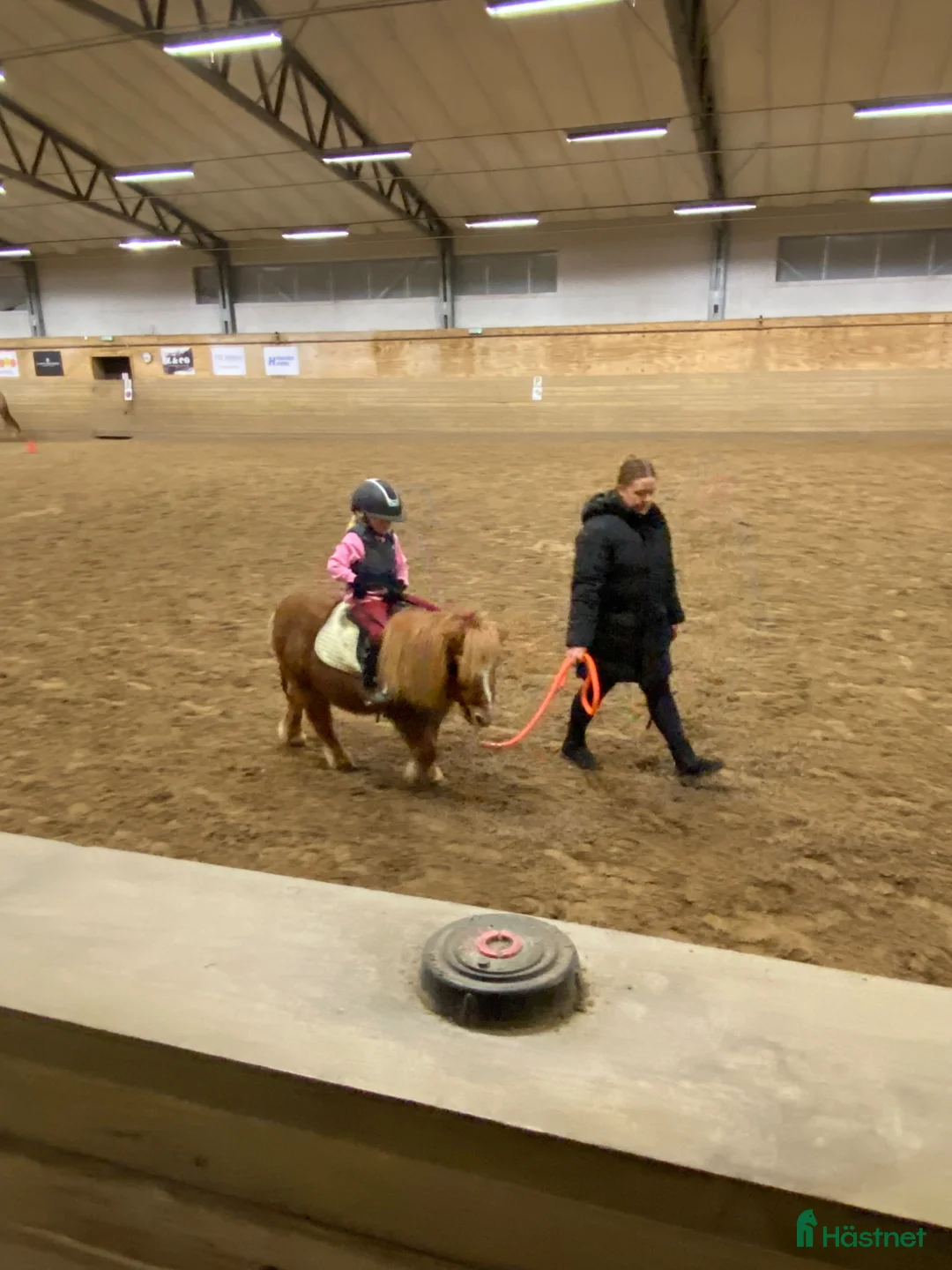 foderhäst sökes: Stor A eller liten B ponny i Lysekil - Annons 1